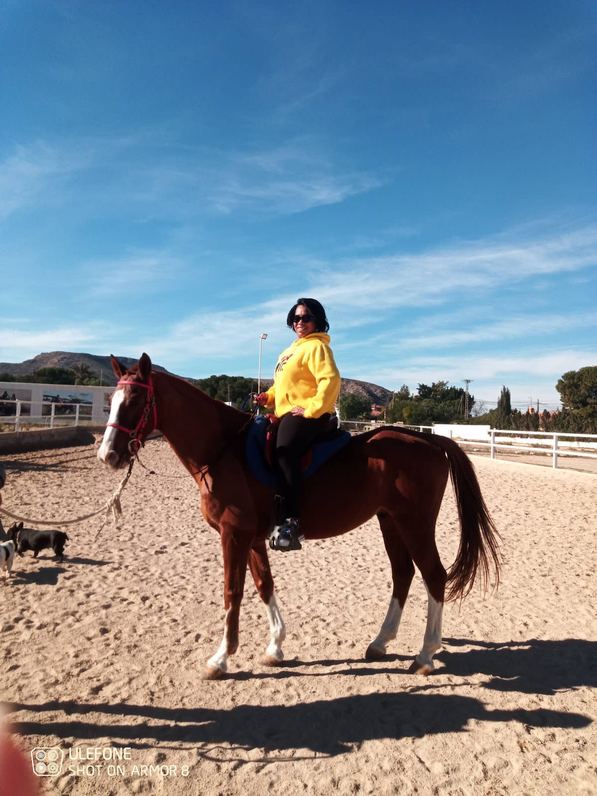 Hípica Santana - Hipica en Alacant