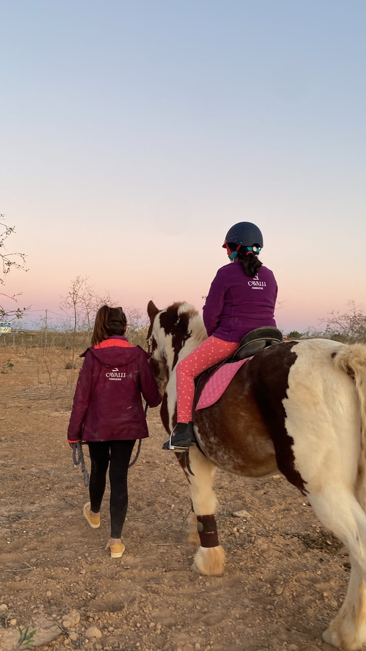 Fundación Cavalli - Hipica in Murcia