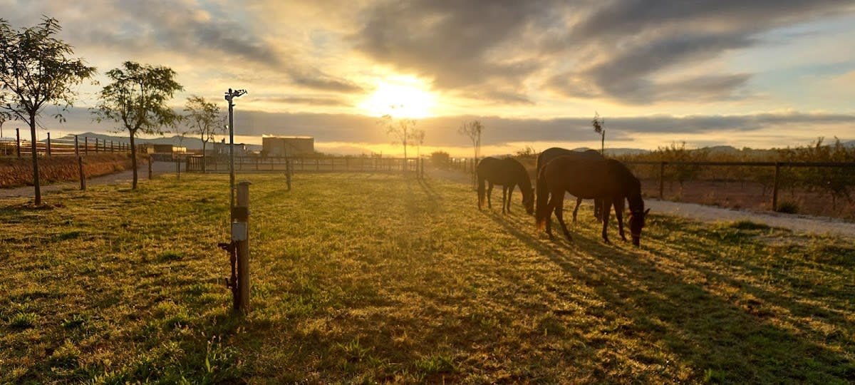 Rancho Madison - Hipica in Lel