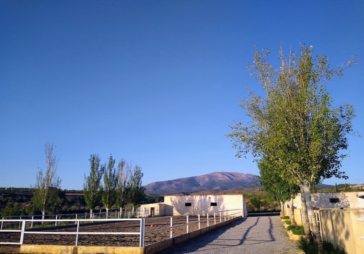 Acebuche Stables - Hipica em Granada
