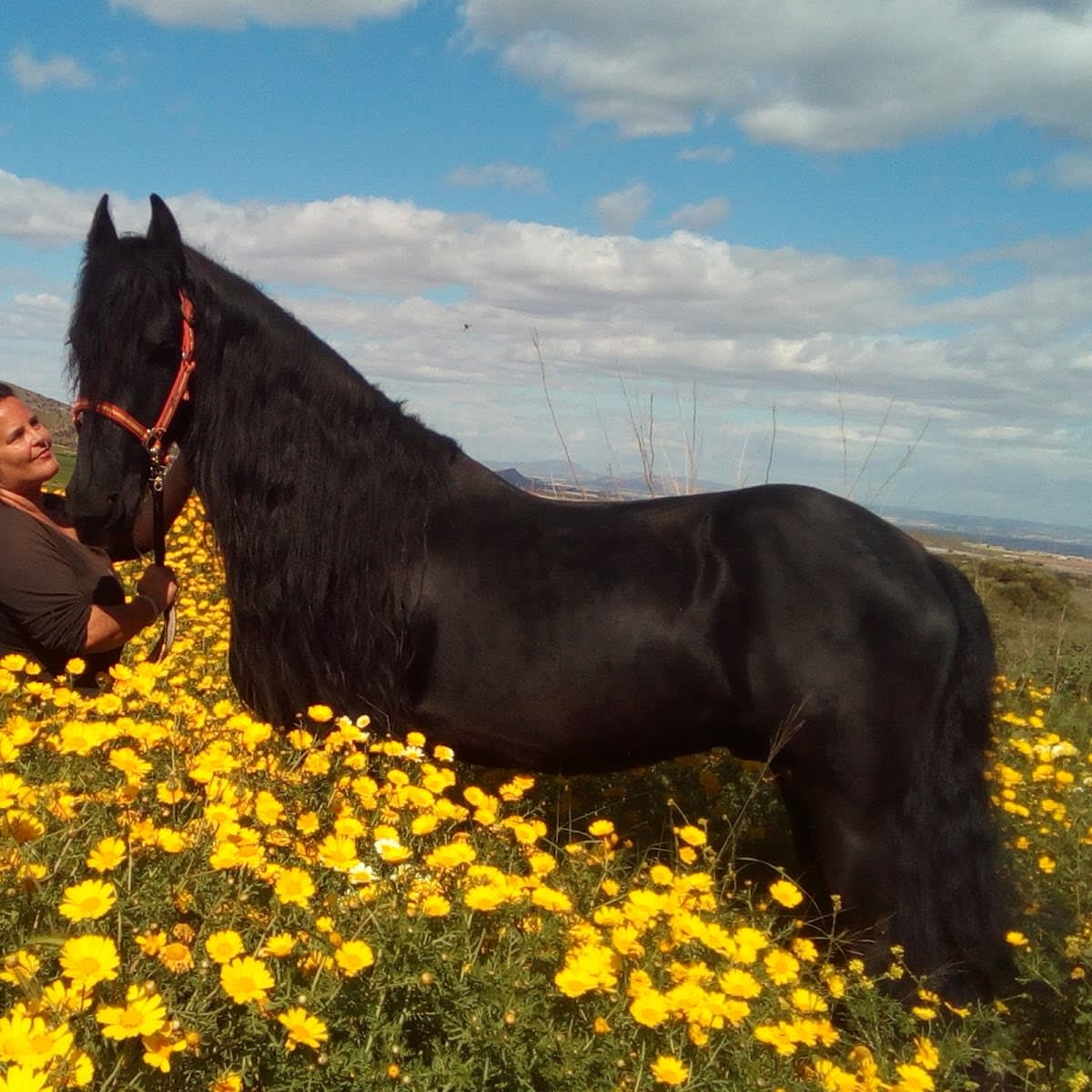 Rancho De La Fuente - Hipica em Las Barracas