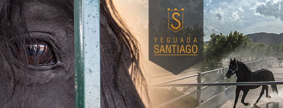Yeguada Santiago - Hipica in Monforte del Cid