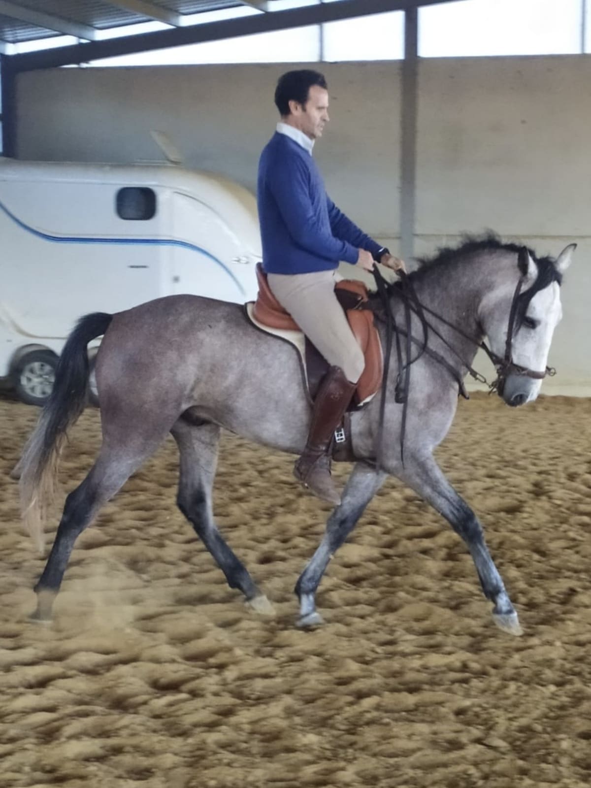 Club Hípico Los Almendros - Hipica en Gibraleón