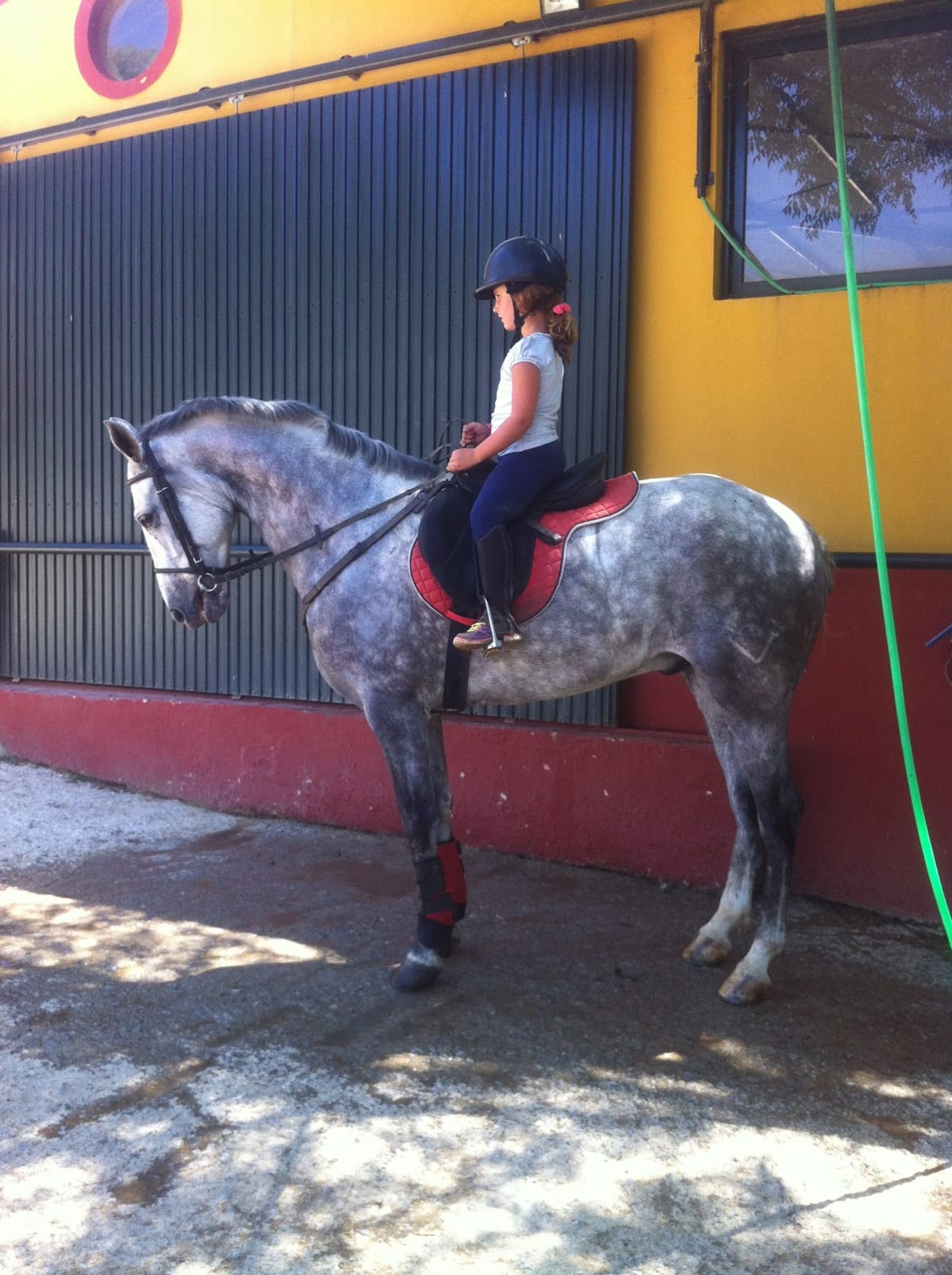 Picadero La Suerte - Hipica en Galaroza