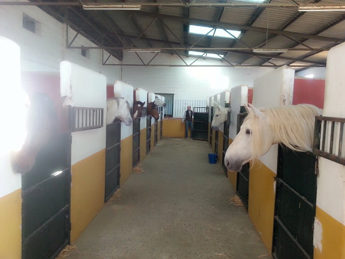 El Laminillo. Escuela Equina Pepe Rios - Hipica in Mairena del Aljarafe