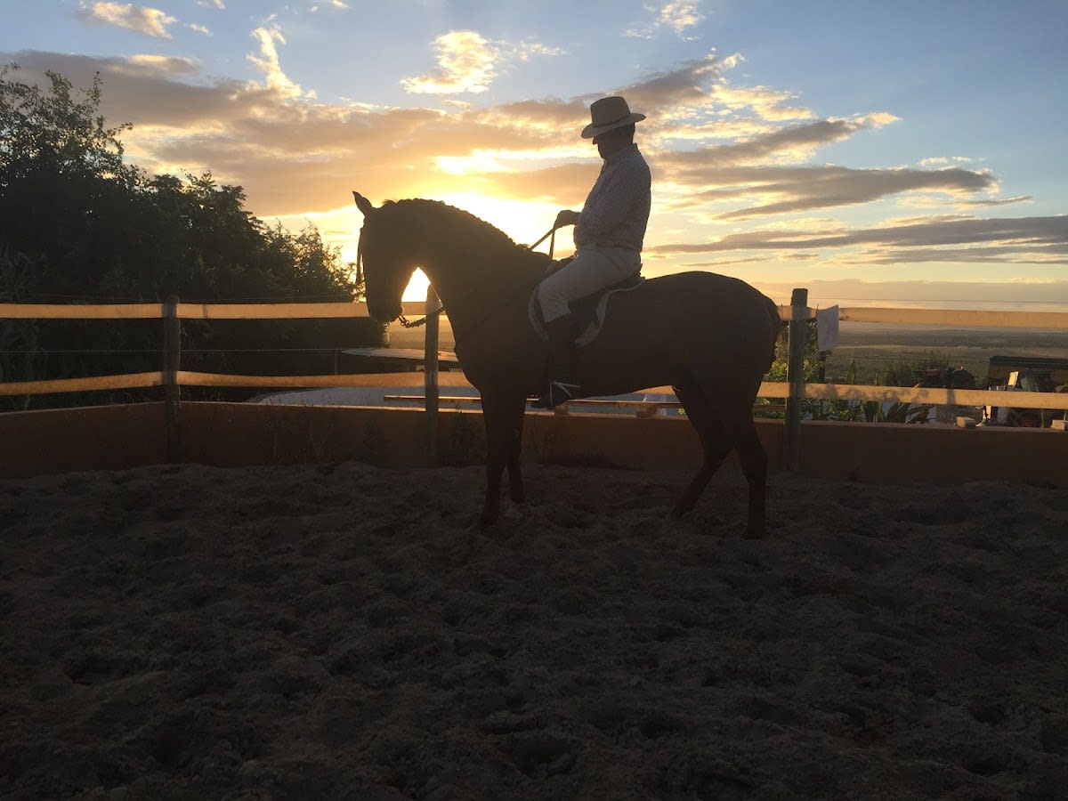centro ecuestre los regajos - Hipica en Albaida del Aljarafe