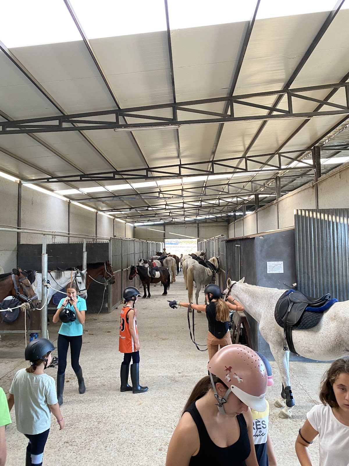 Club hípico Horse Sport Arena - Hipica in Espartinas