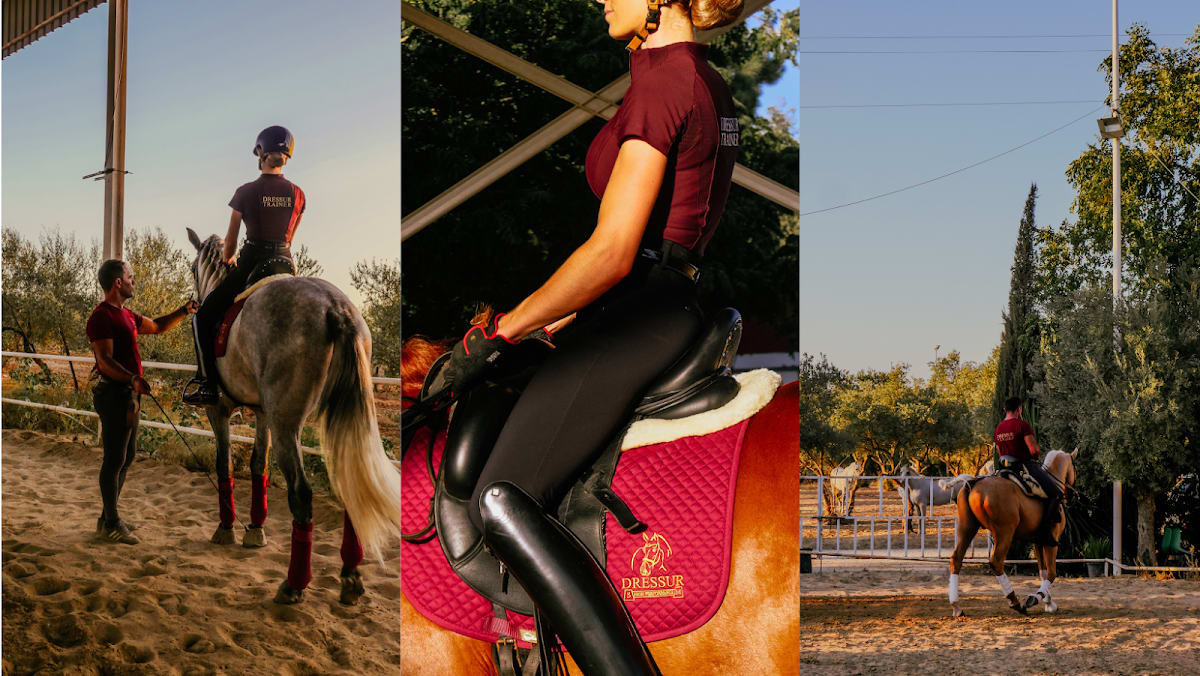 Centro Hípico Dressur - Hipica in Mairena del Aljarafe