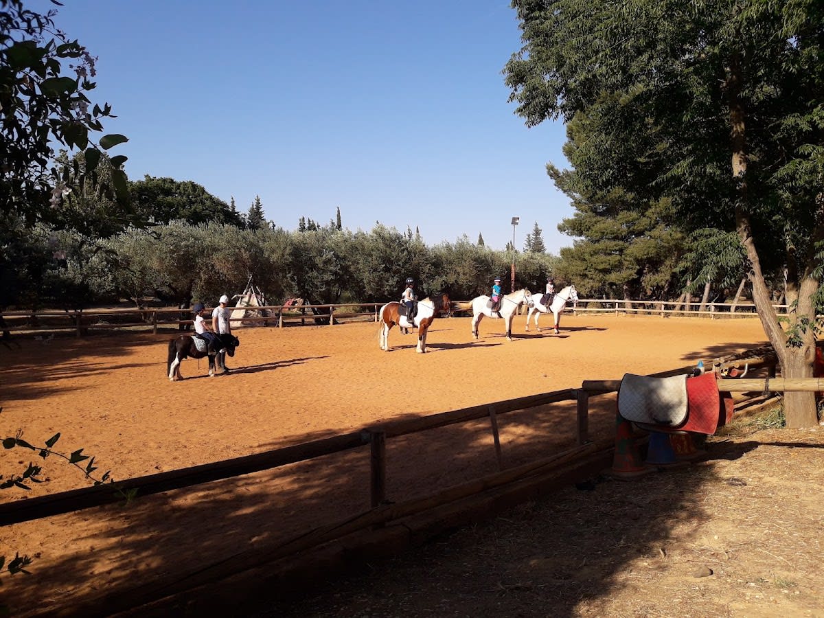 Asociación Centro Hípico Santa Genoveva - Hipica in Alcalá de Guadaíra