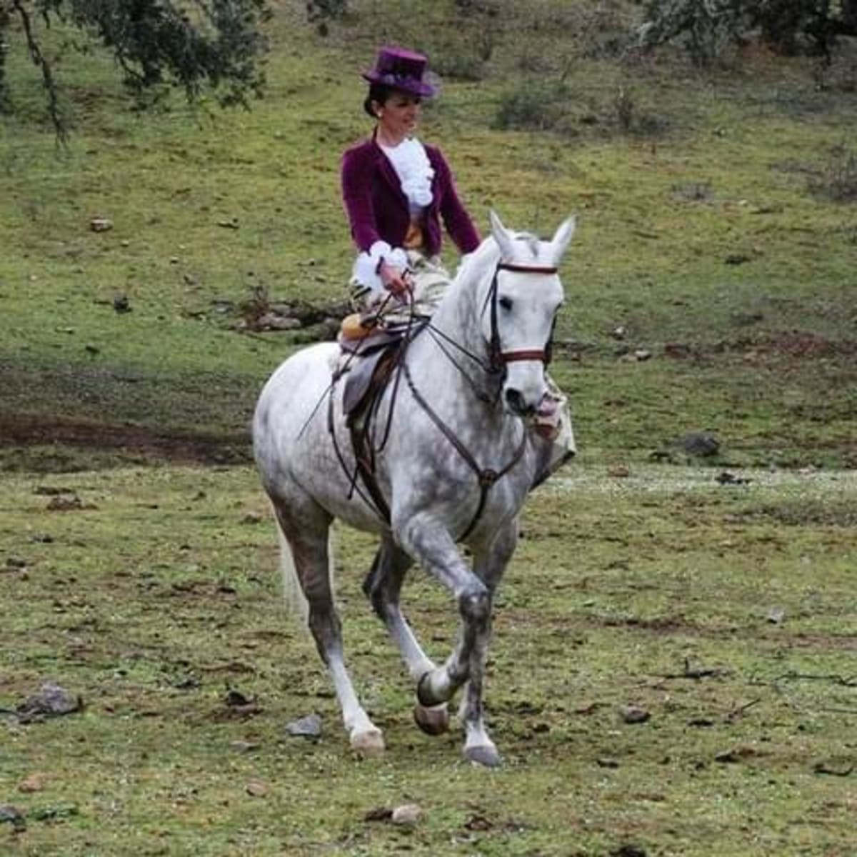 Centro Ecuestre Las Manuelas JG - Hipica en Málaga
