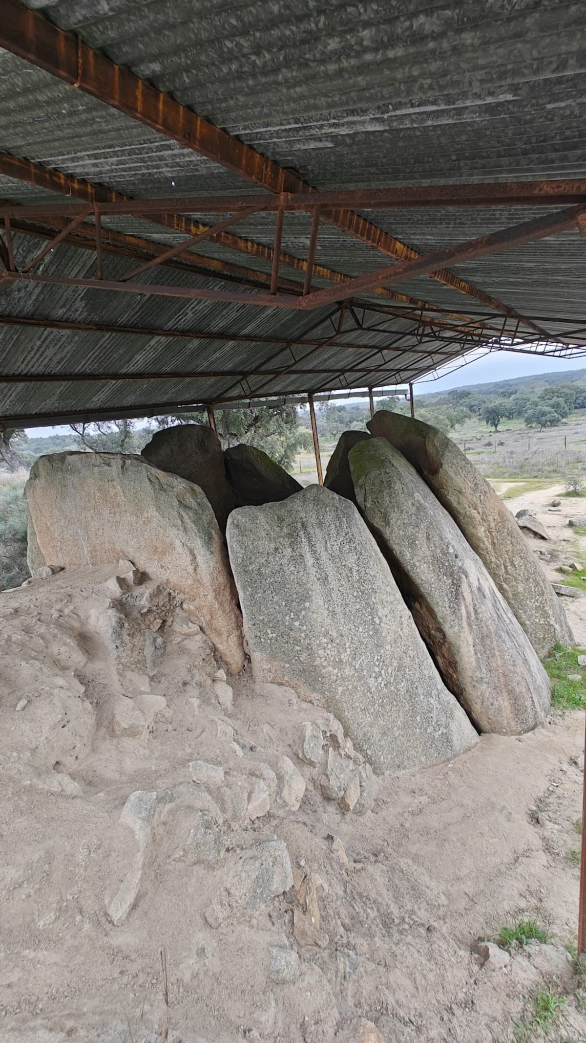 Associação Hípica Eborense - Hipica in Nossa Senhora da Tourega