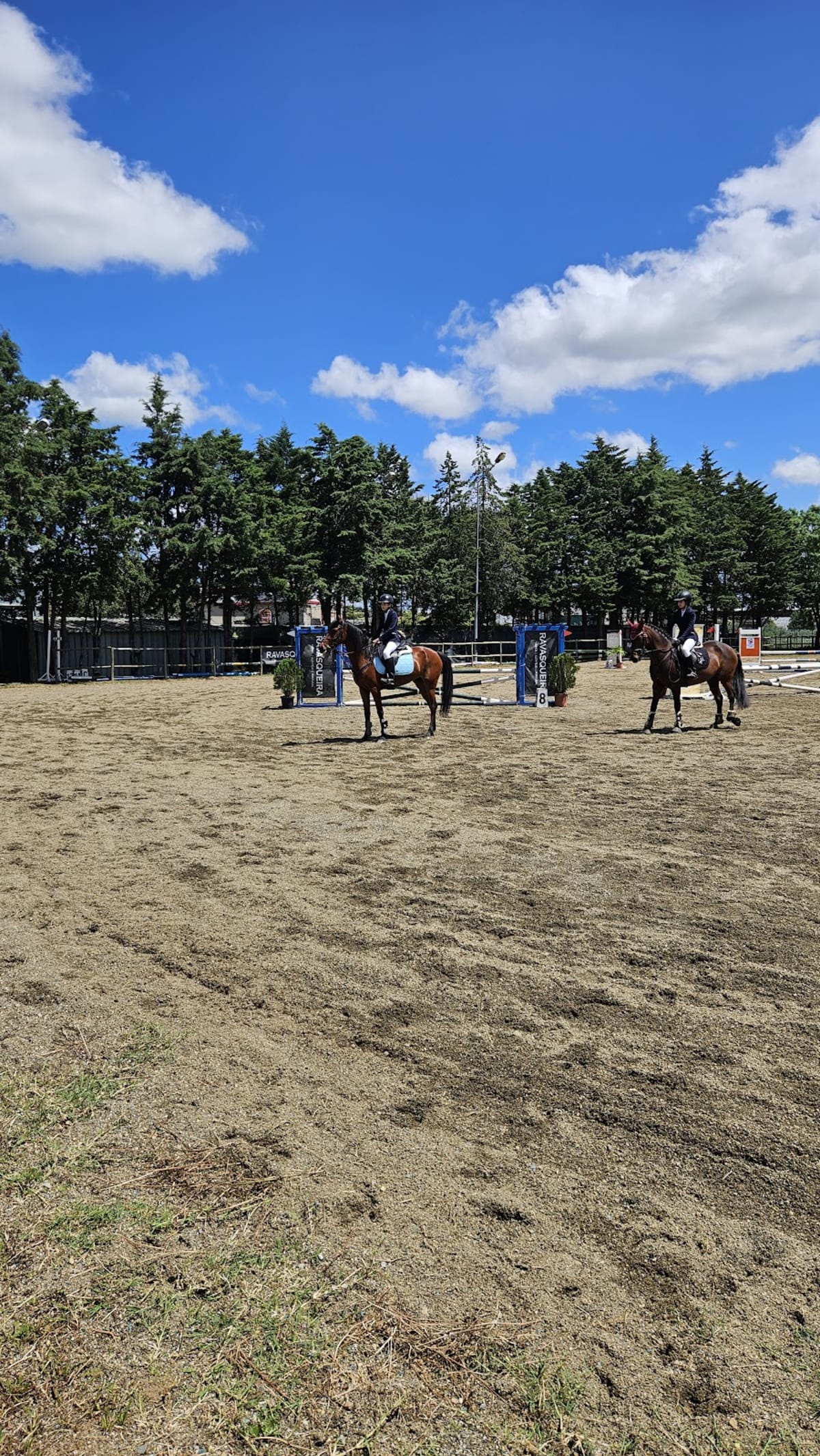 Centro Hípico D. Duarte - Hipica a Montemor-o-Novo
