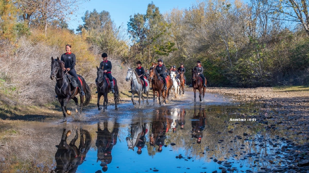 Club Hípico La Cabriola - Hipica in Sevilla