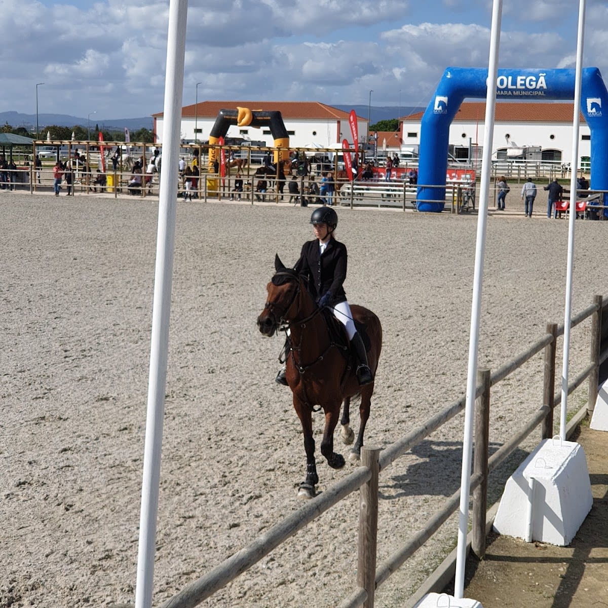 Hippos, Golegã - Hipica in Golegã