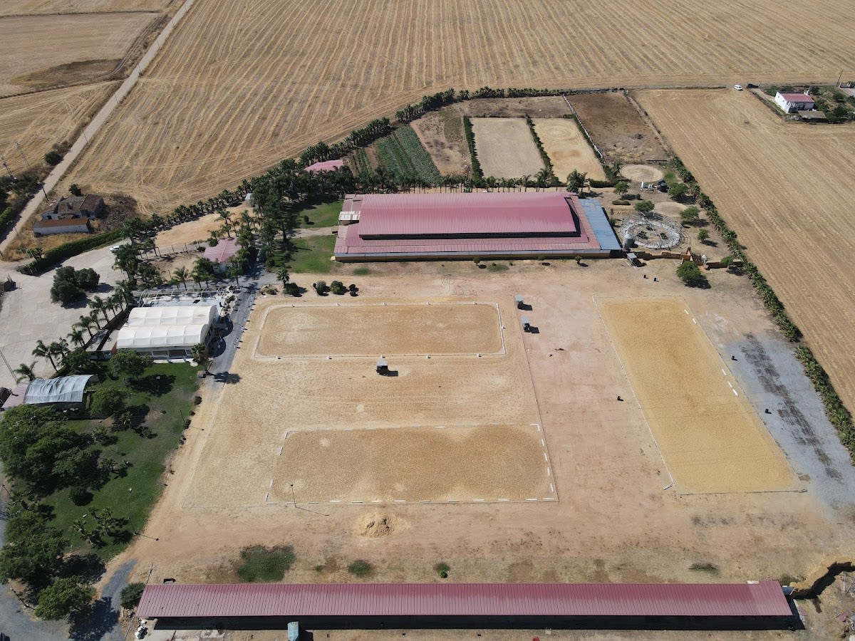 Escuela Hípica de Huelva - Hipica in San Juan del Puerto