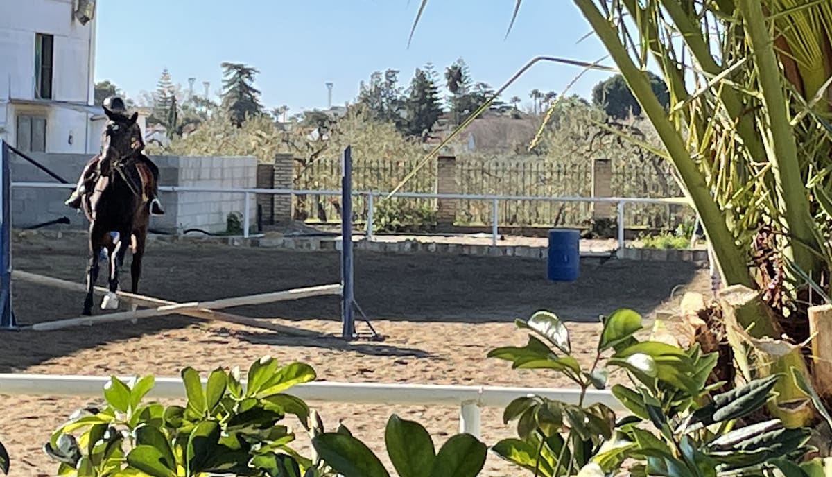 Escuela de Equitación Hipicana - Hipica in Espartinas