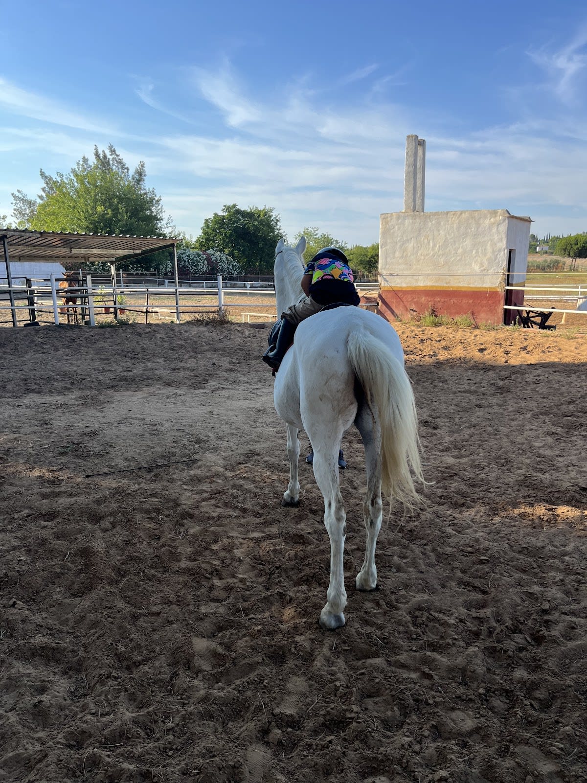 Hípica La Herrería - Hipica in Sanlúcar la Mayor
