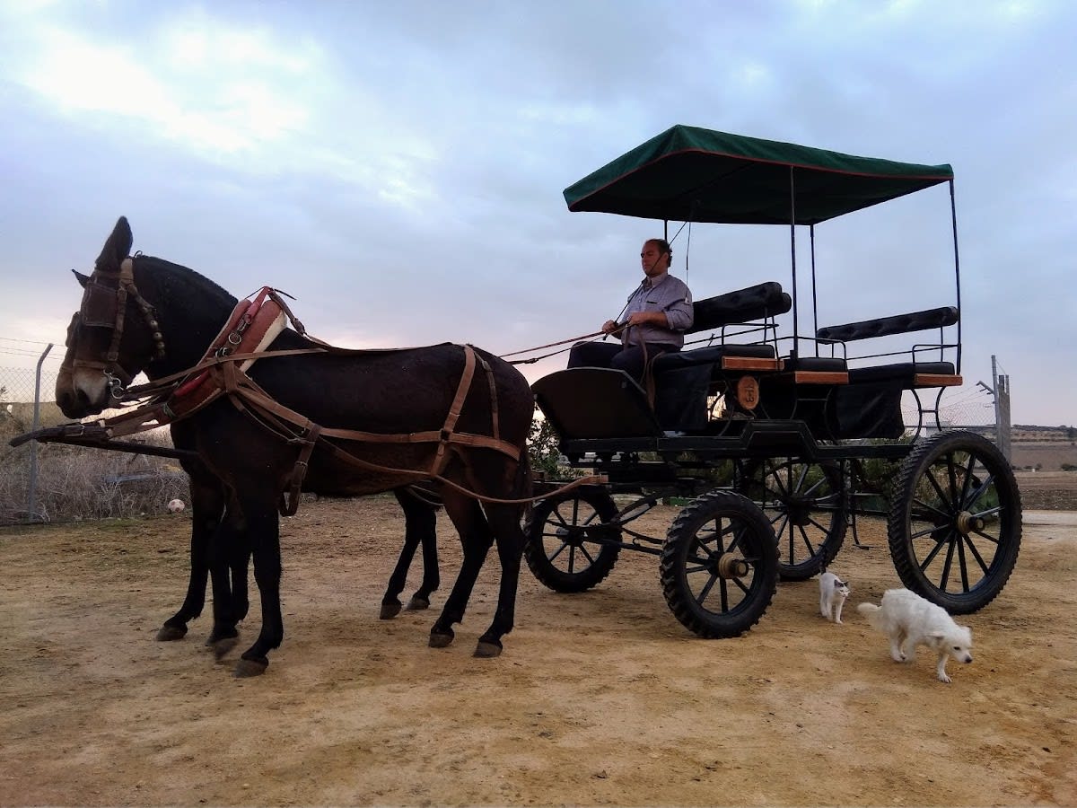 Cuadra La Reata - Hipica in Mairena del Alcor
