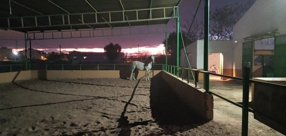 Picadero Calixto - Hipica a Sevilla