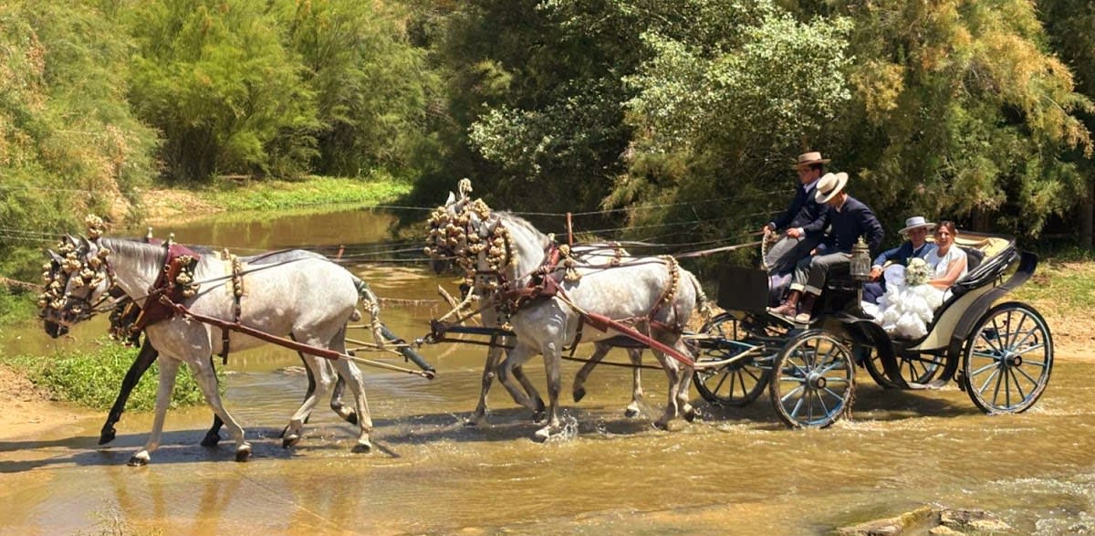 Carruajes Pasearte Carruajes de caballos para eventos Ignacio Pallares - Hipica in Alcalá de Guadaíra