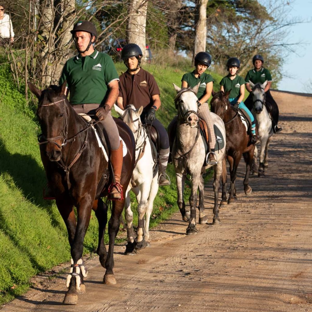Equimor - Escola de Equitação - Hipica in Montemor-o-Novo