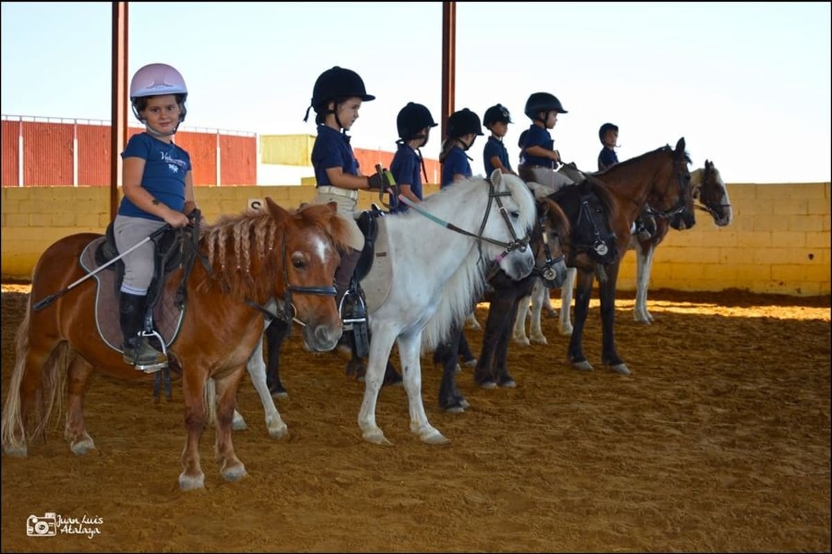 Centro de Formación Hípica Paloblanco - Hipica in Utrera