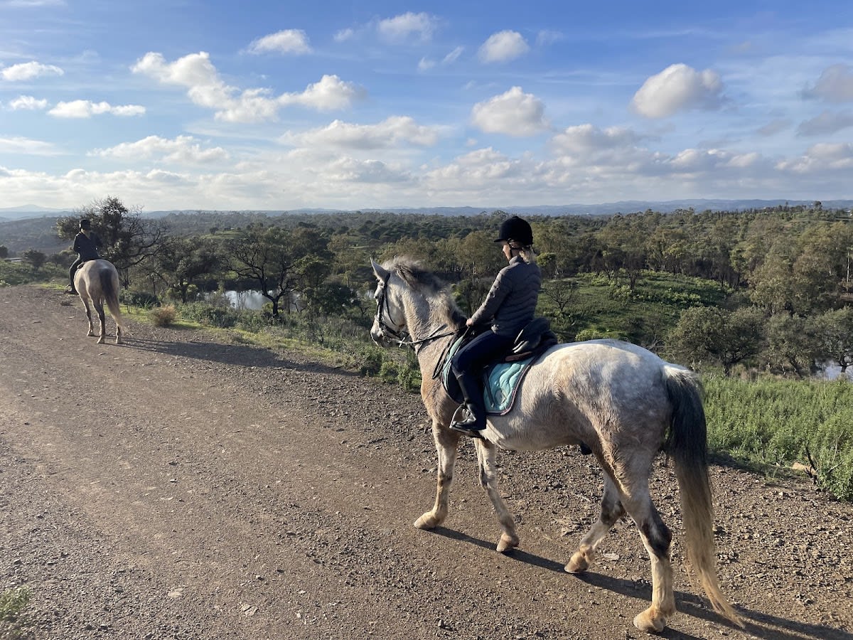 Horse club antonio - Hipica in Tavira