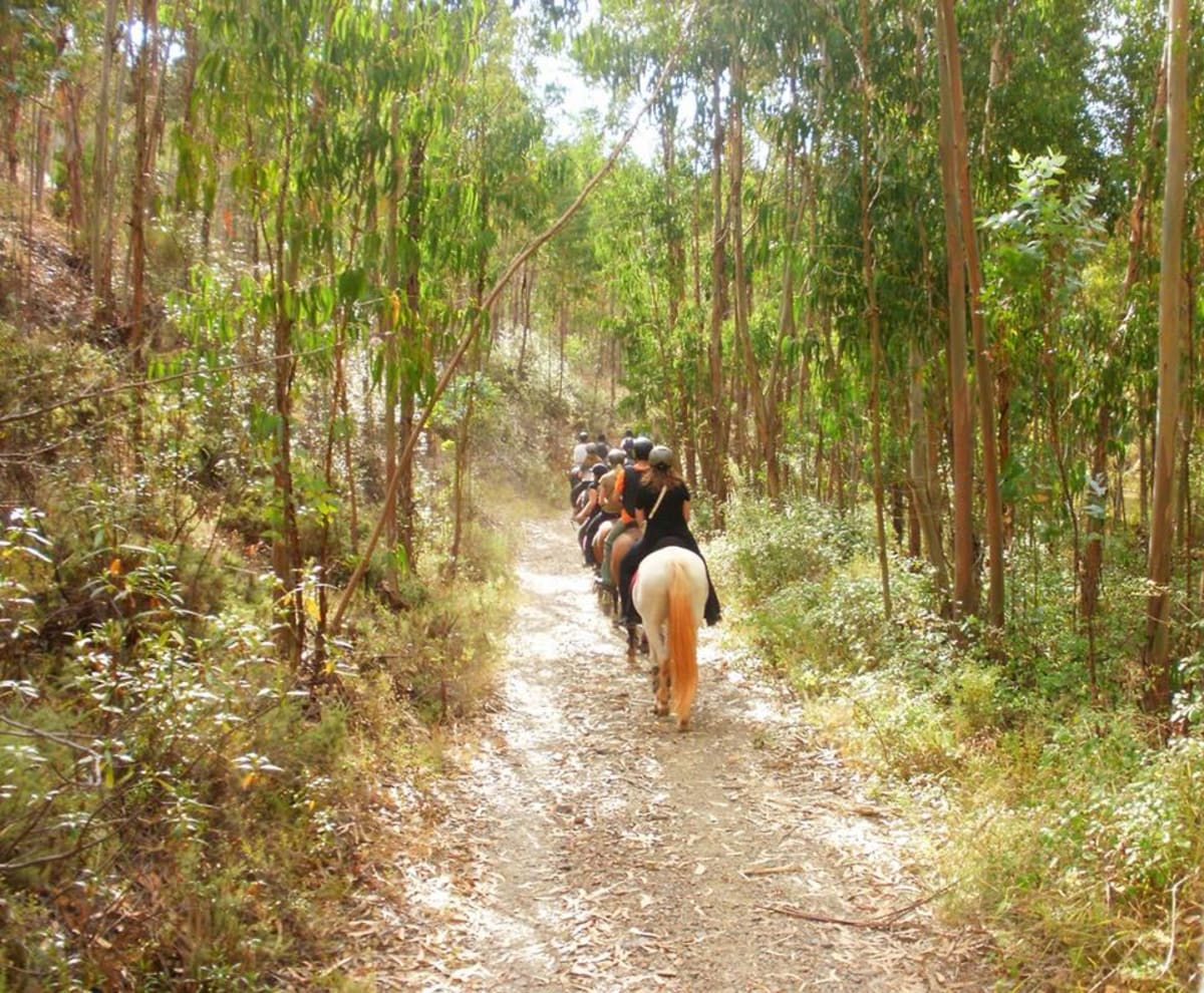 Country Riding Centre - Hipica in Silves