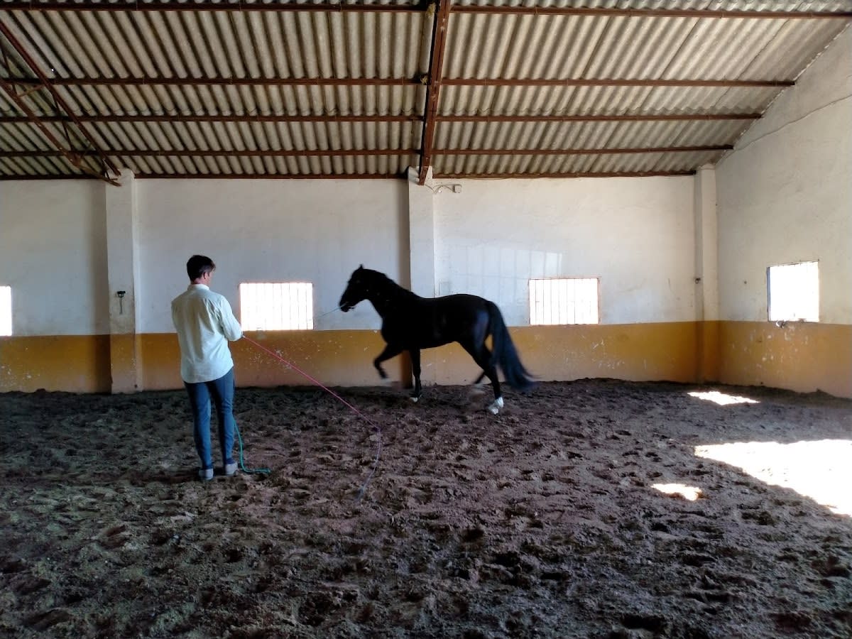 Potros Salaito - Hipica in Aracena