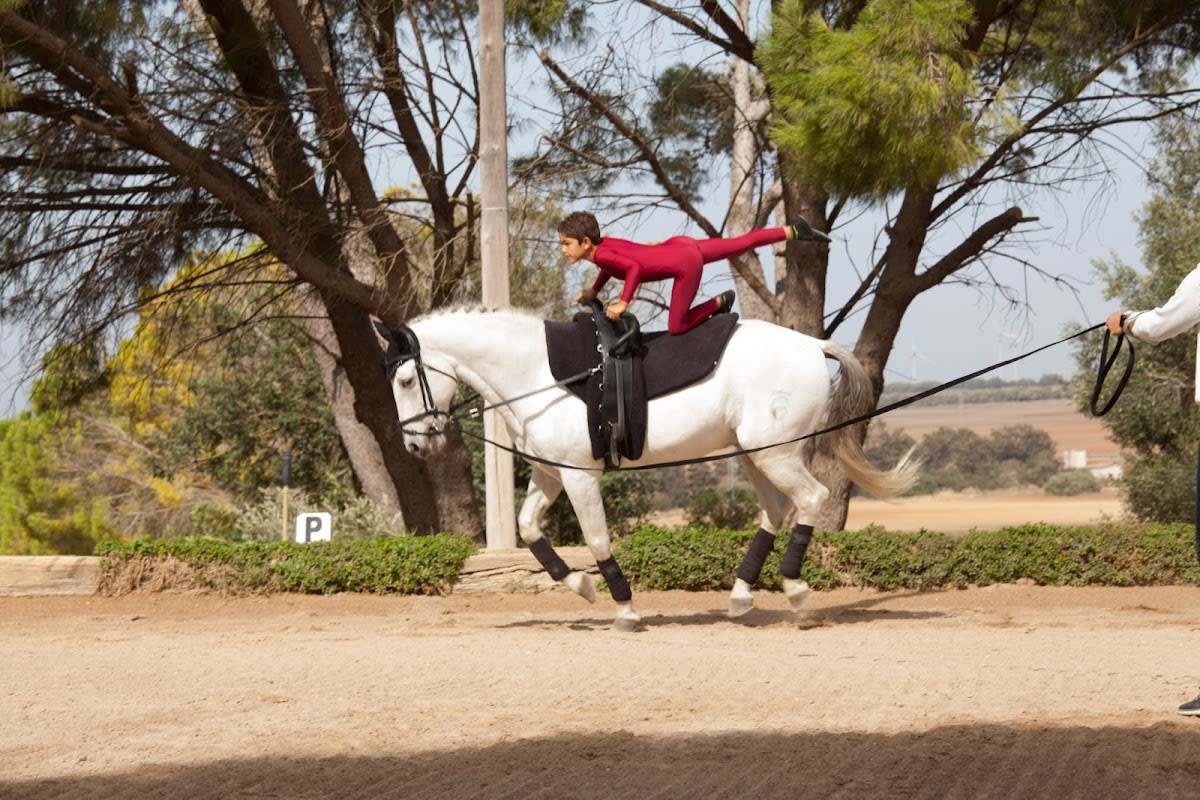 Centro del Caballo Deportivo - EFRIASA - Hipica en Puerto Real