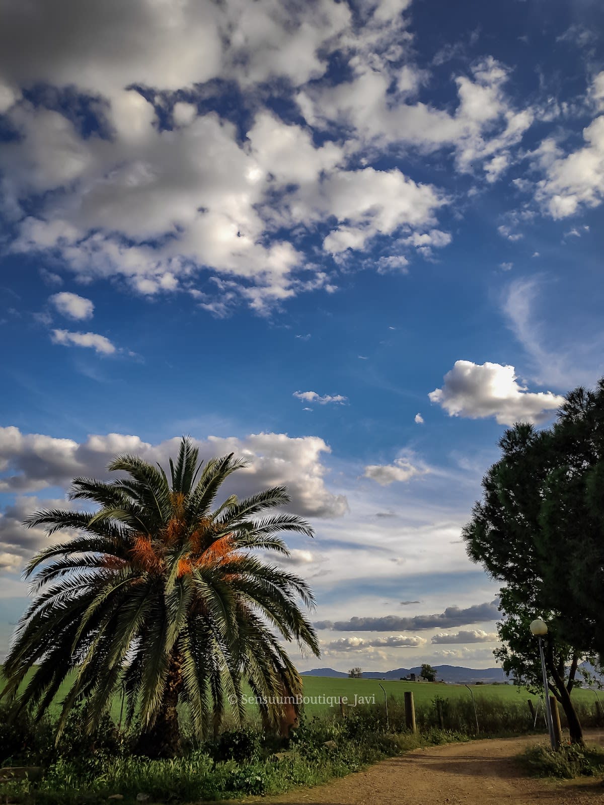 Escuela ecuestre Francisco Gonzalez - Hipica in Mérida
