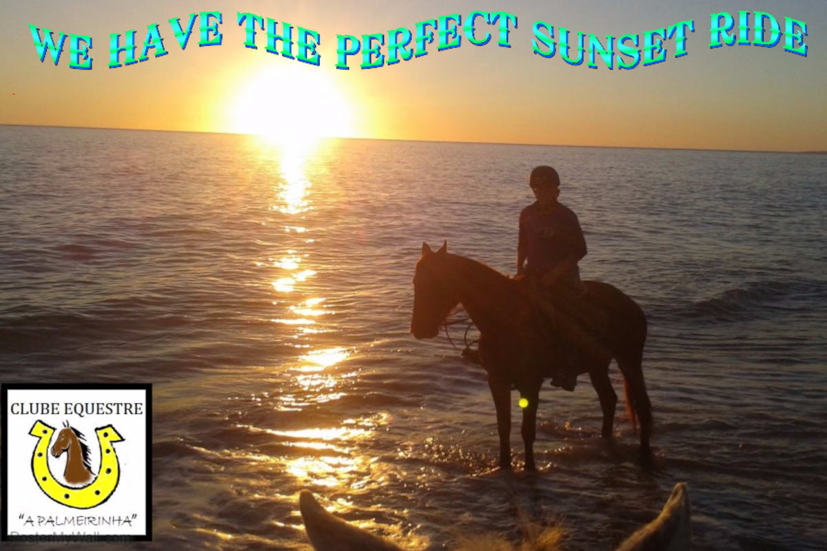 Clube Equestre A Palmeirinha - Hipica in Almancil