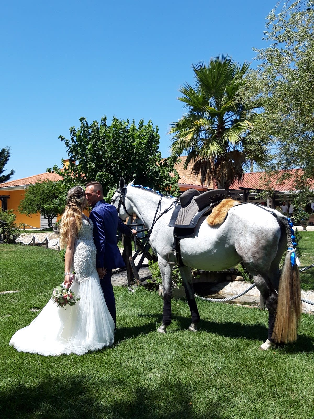 Cavalos🐴 - Hipica in Palmela