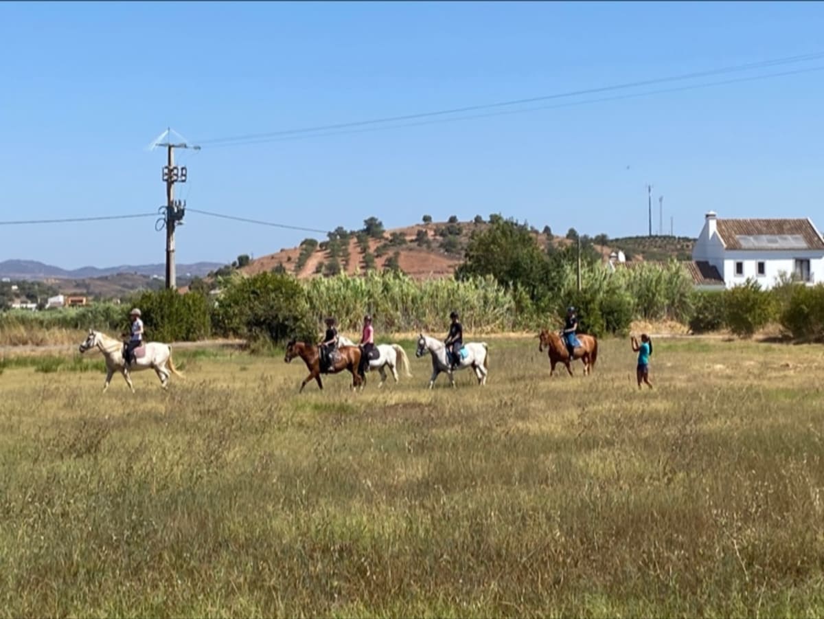 Quinta Beldade Stables - Hipica in Tavira