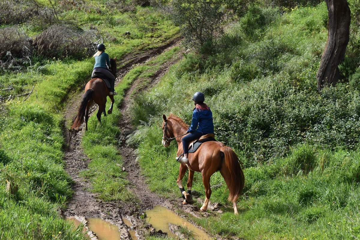 Lagos Horse Riding & Rescue Centre - Hipica in Bensafrim