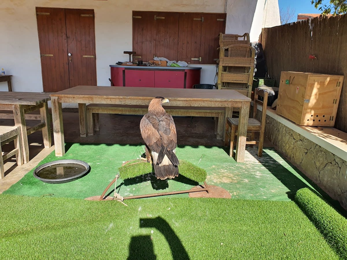 Equestrian - Horse Riding Albufeira - Hipica in Albufeira