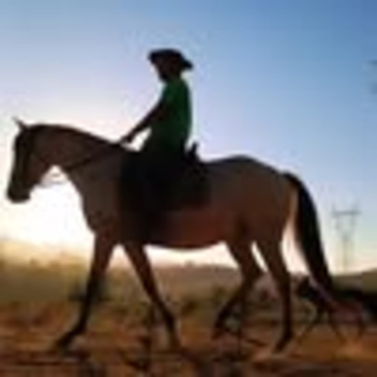 Galope No Campo - Hipica in São Luís