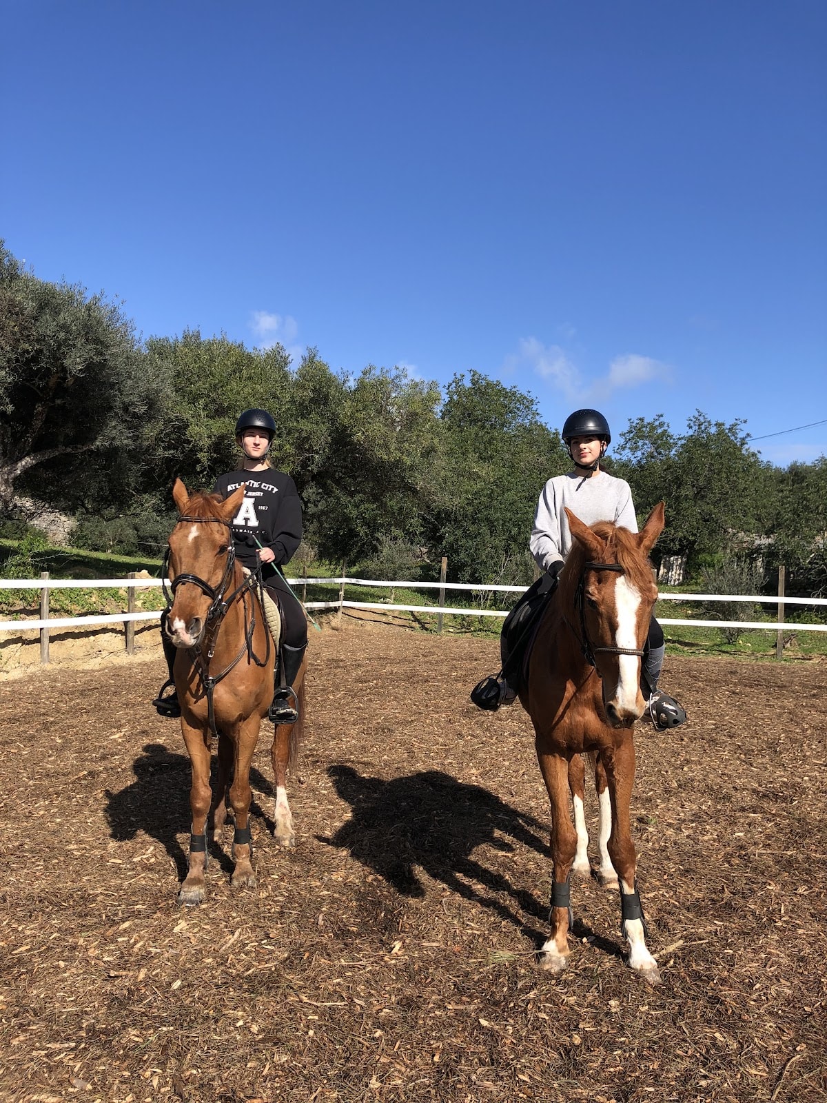 Equijump - Hipica in Loulé