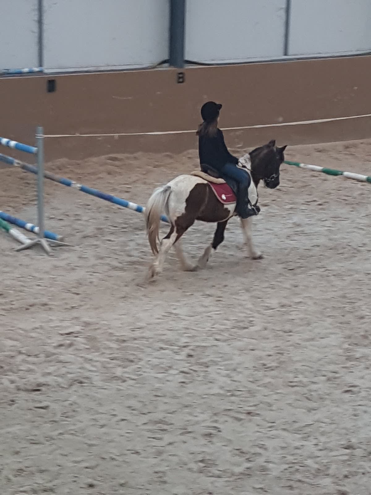 Belmont’s riding centre - Hipica in Portimão