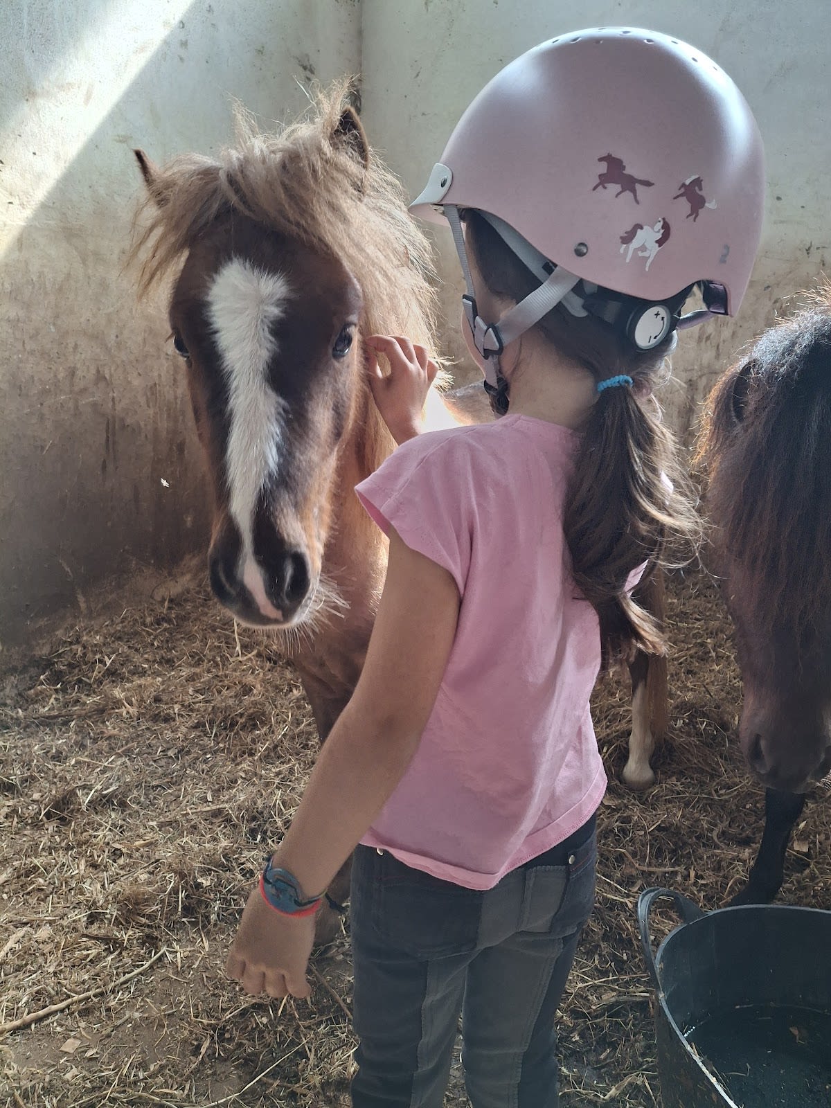 Centro Hípico De Alcaria Lda - Hipica in Alcaria