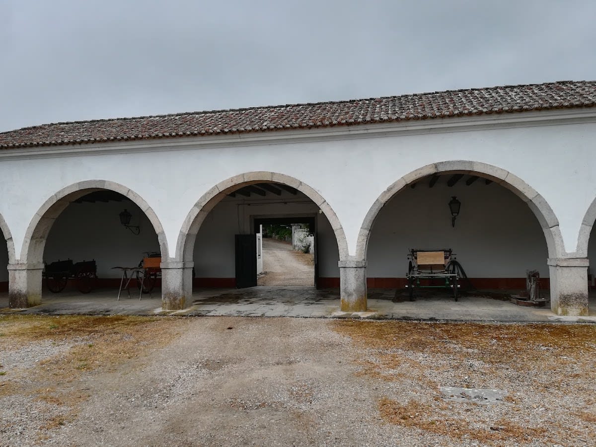 Morgado Lusitano, Rural Tourism - Hipica in Alverca do Ribatejo