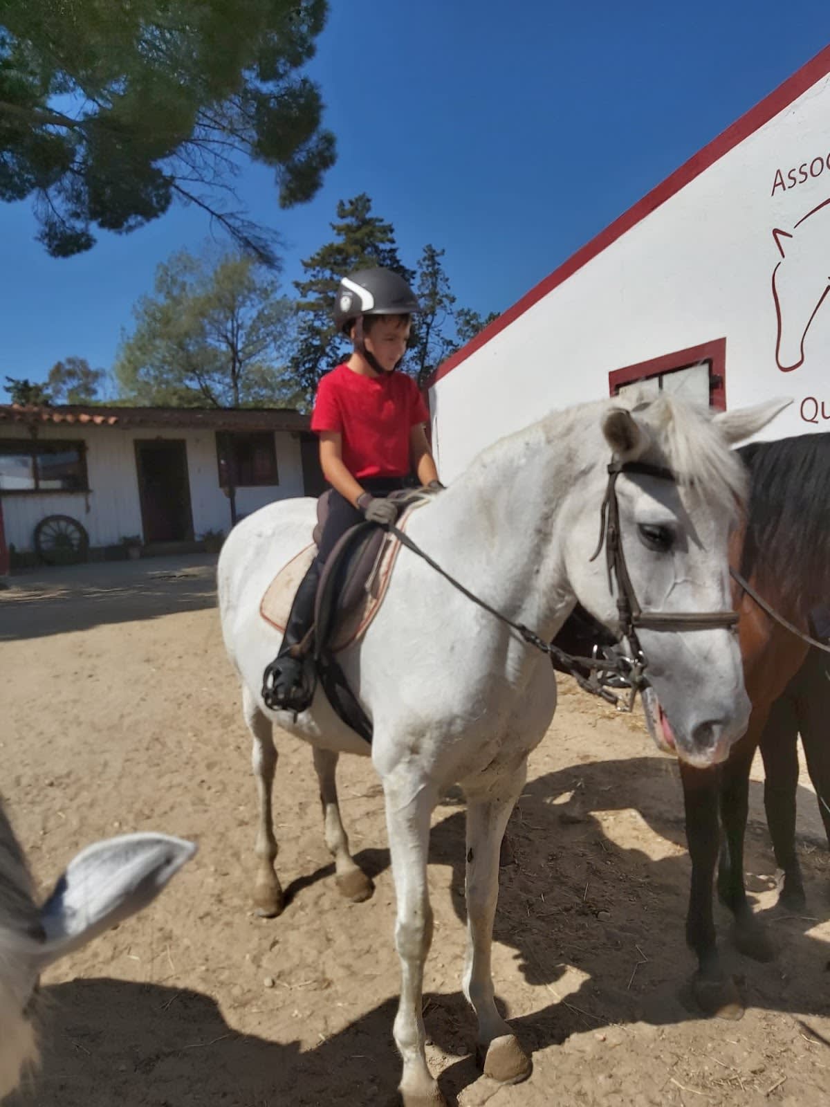 Centro Hípico Quinta da Folha - Hipica in Almada