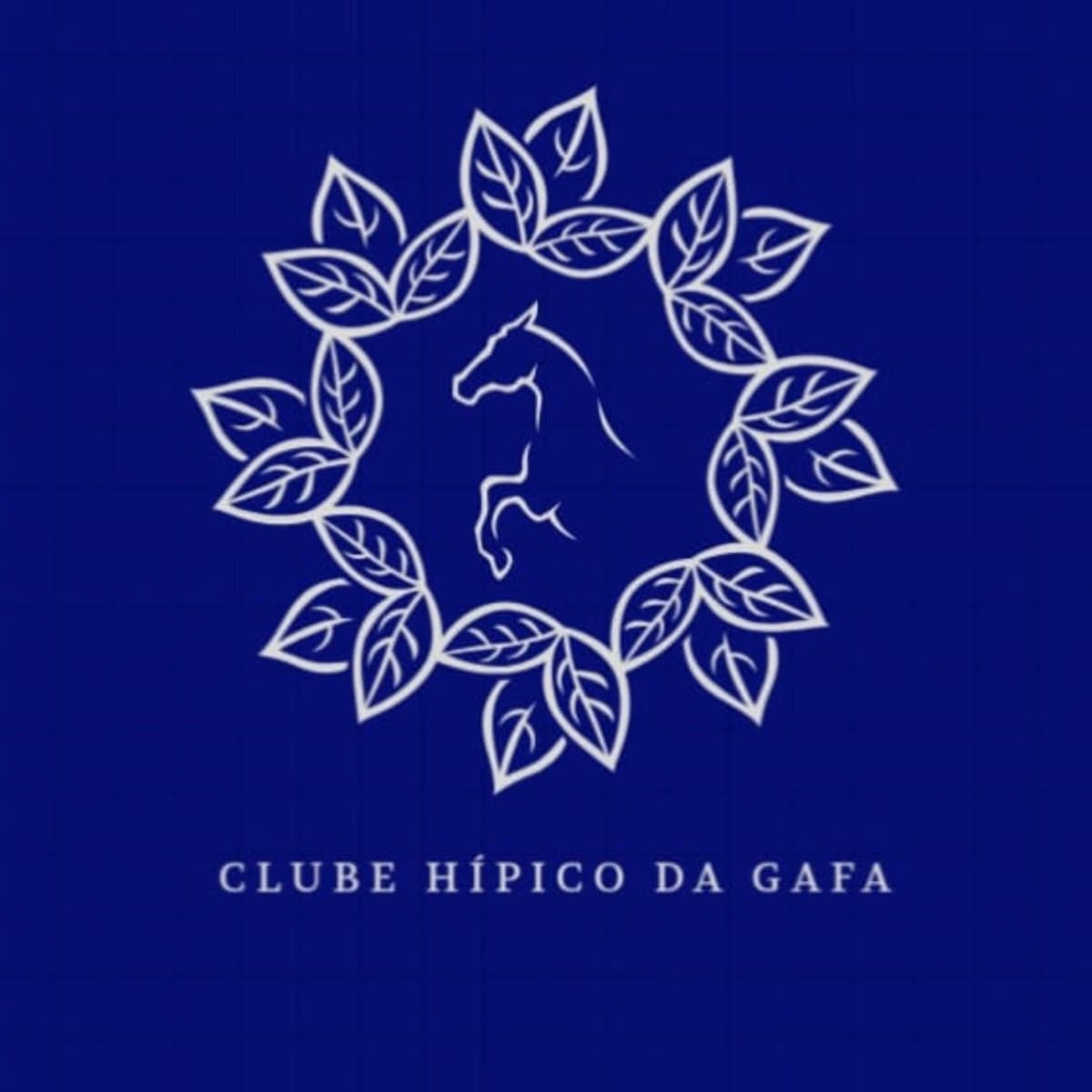 Clube Hípico da Gafa - Hipica in Vermelha