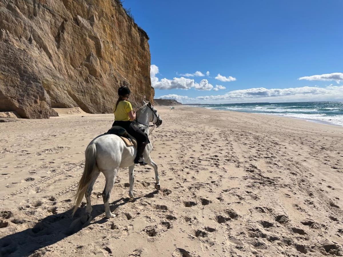 Quinta dos Pinheiros - Hipica in Santarém