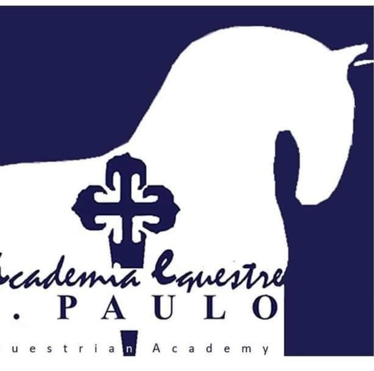 Academia Equestre São Paulo - Hipica in Almada