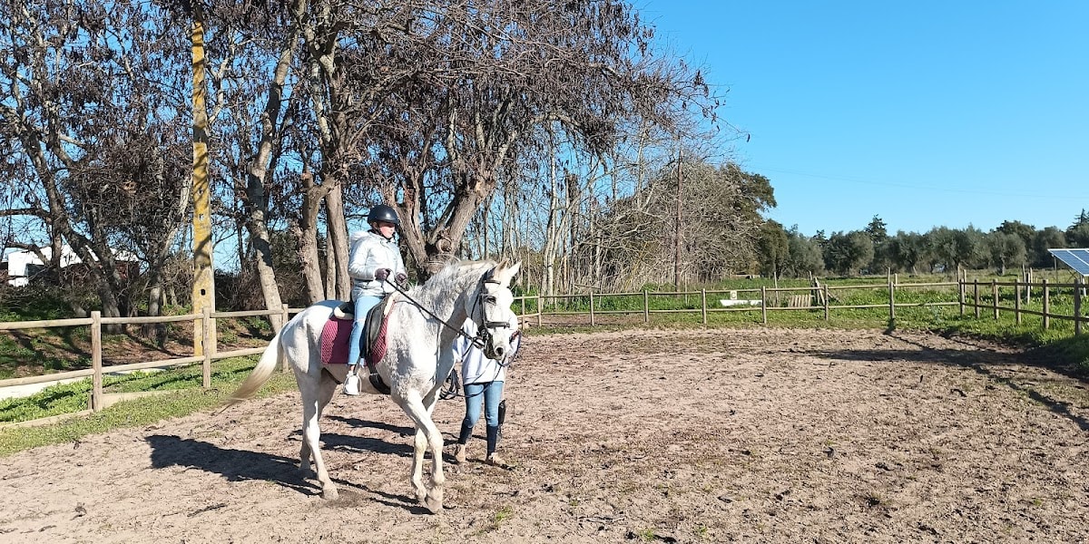 Coudelaria Rita Cotrim - Hipica in Golegã