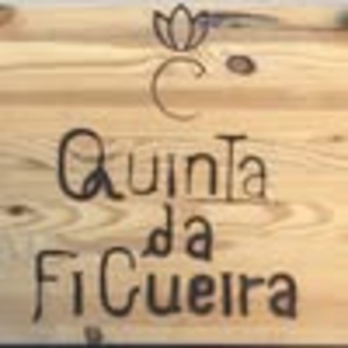 Centro Equestre Quinta da Figueira - Hipica in Atalaia
