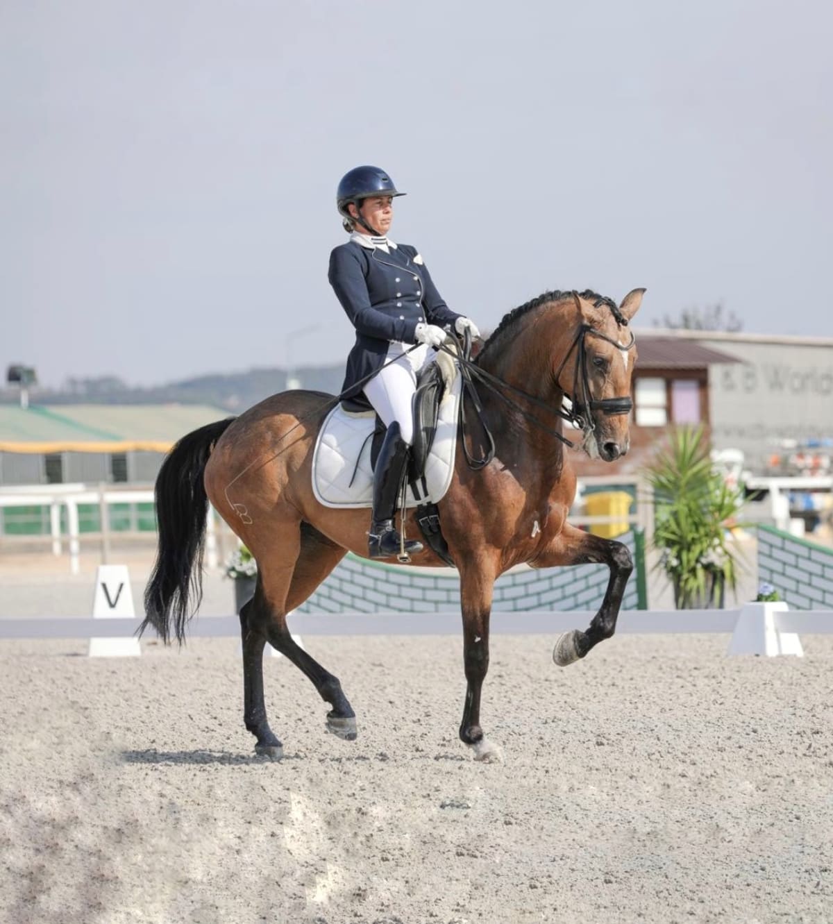 LST-Equestrian Lda - Hipica in Lisboa