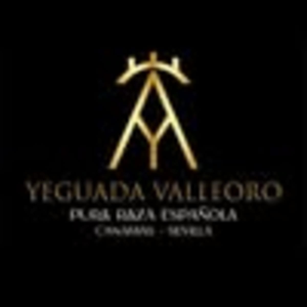 Yeguada Valleoro - Hipica in La Rinconada