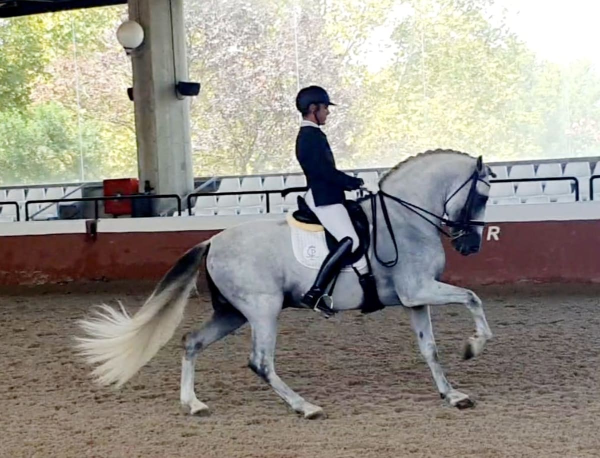 Yeguada Pérez de Castro - Hipica a Chucena